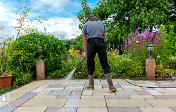 Animal Enclosure Cleaning in Richmond, IL